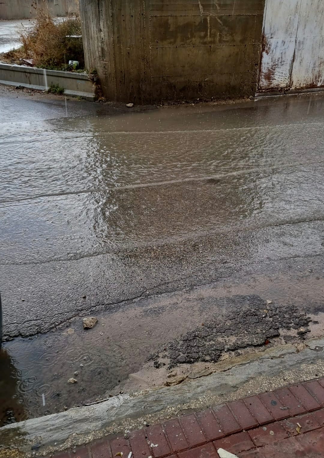 WhatsApp Image 2021-11-20 at 2.45.21 PM.jpeg